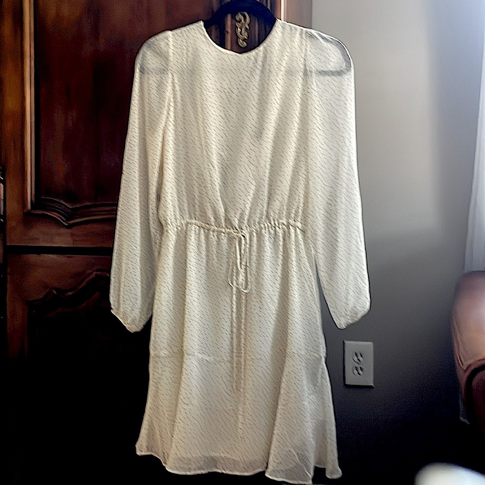 Banana Republic NWT Cream with black polka dots sheer dress.  Size small.